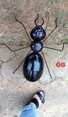 FORMIGA DE METAL TAMANHO GIGANTE